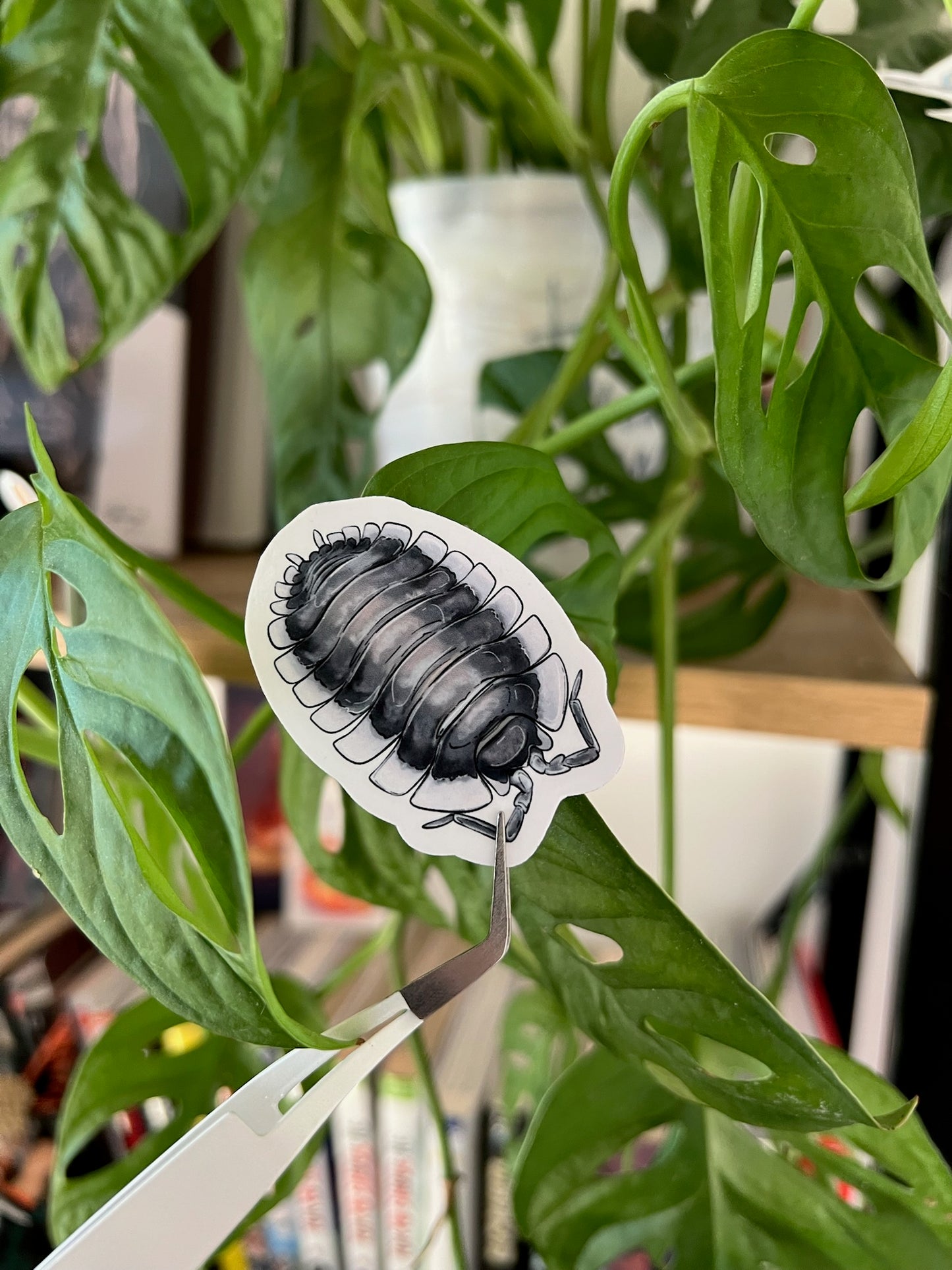 Stickers cloportes 🎨