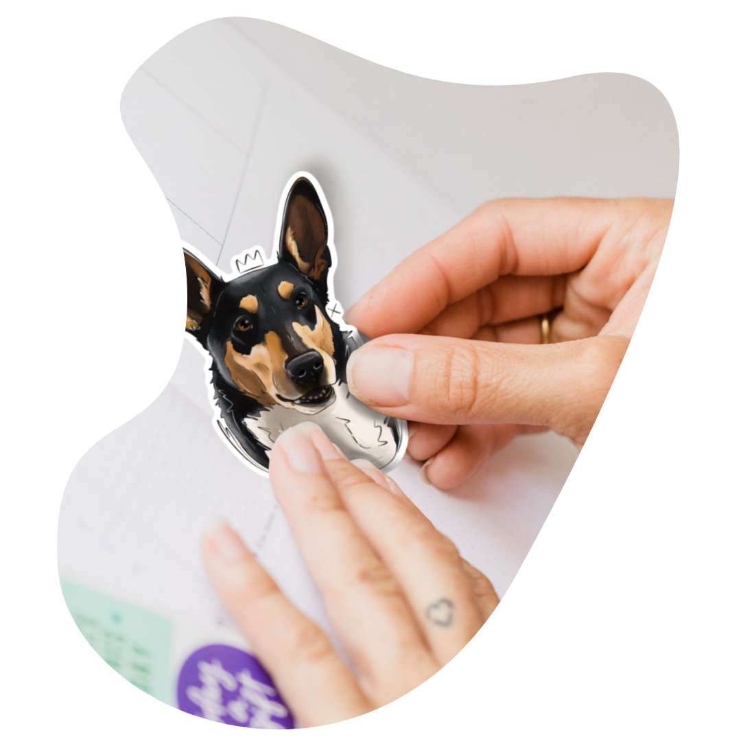 Nos stickers 🐶