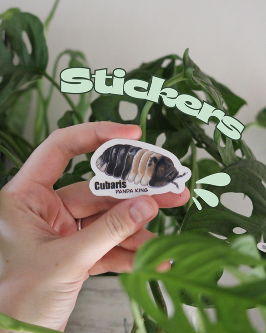 Stickers cloportes 🎨