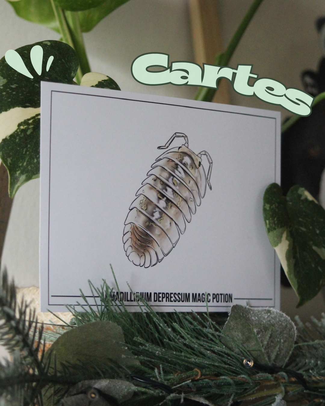 Carte Isopodes 🖼️