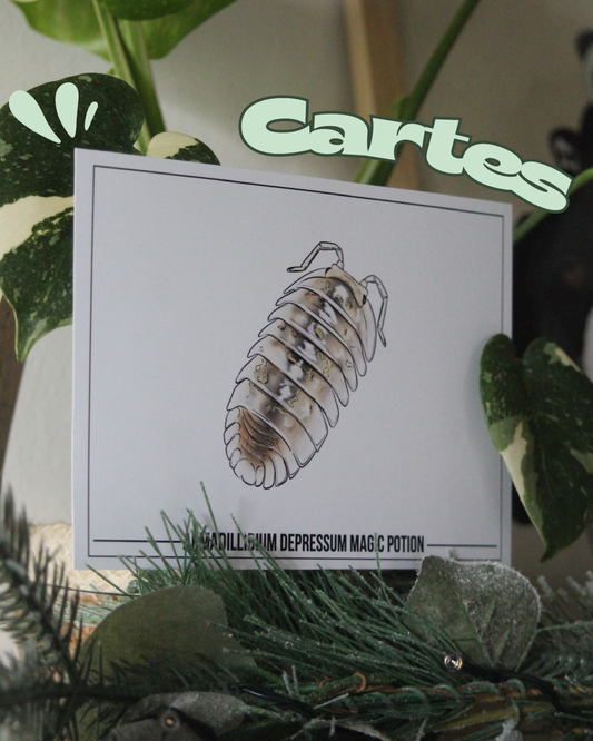 Carte Isopodes 🖼️