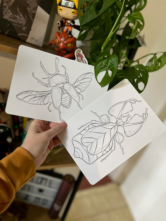 Coloriages 🦋
