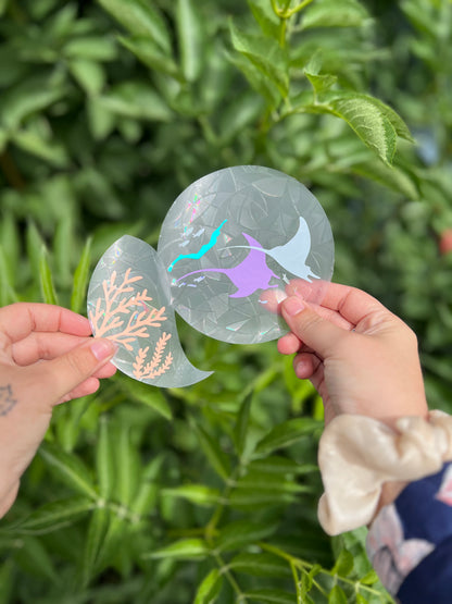 Plongée d’été 🪸