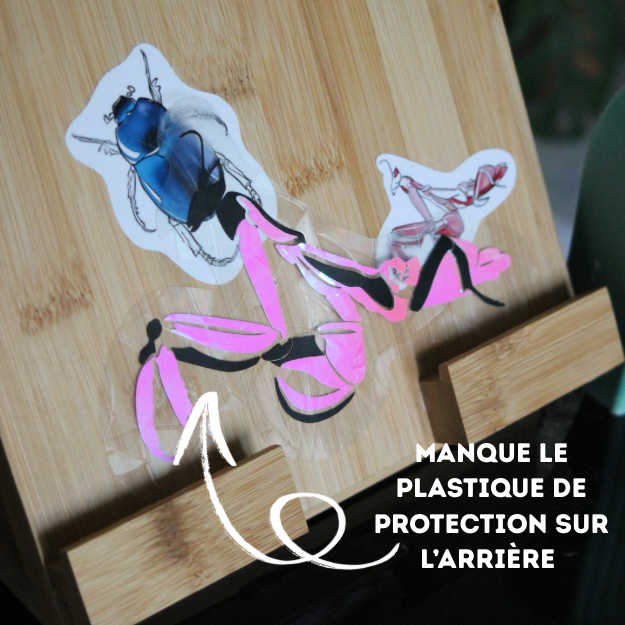 Les ratés
