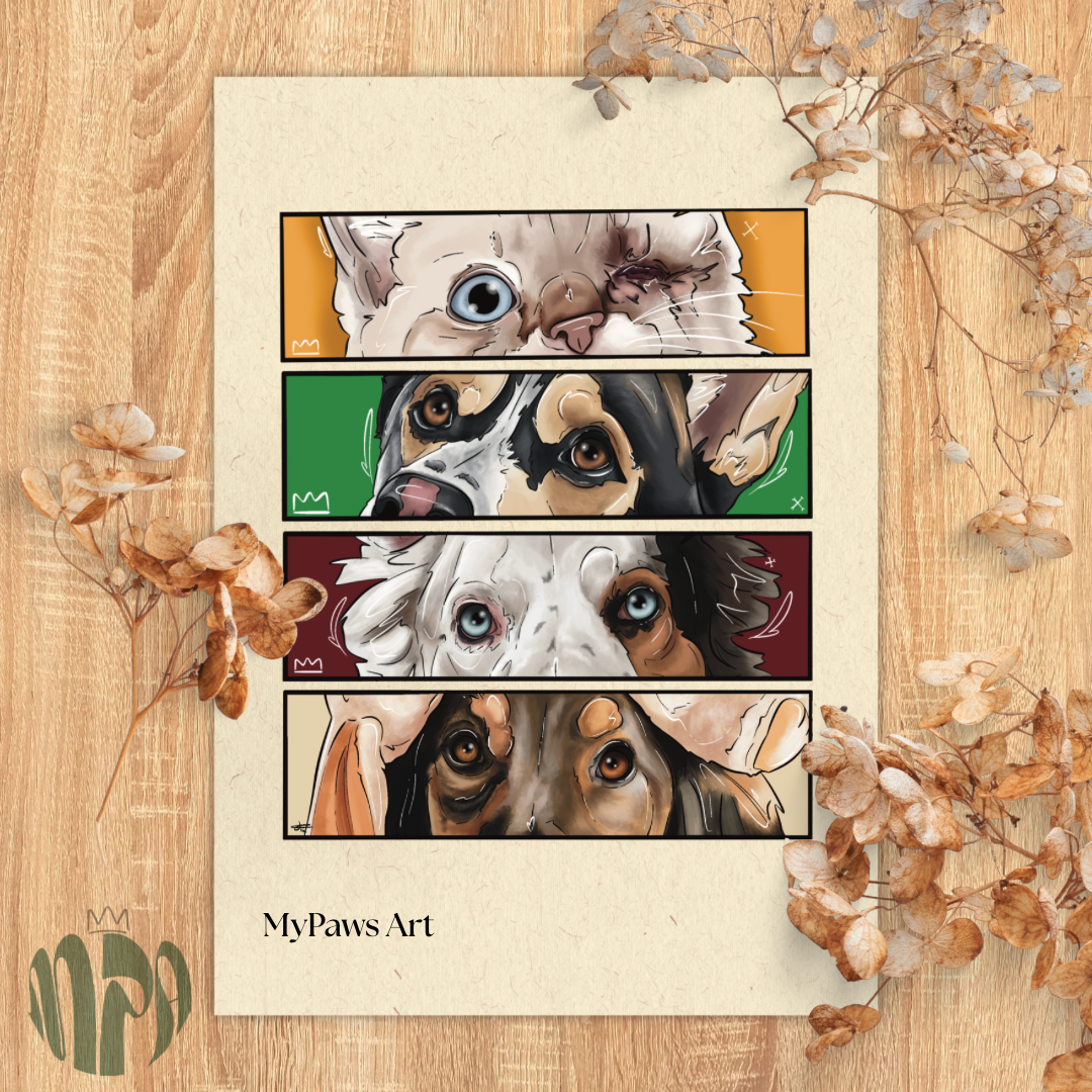 Aquarelle cadre 🖼️