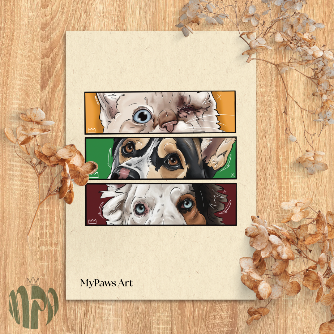 Aquarelle cadre 🖼️