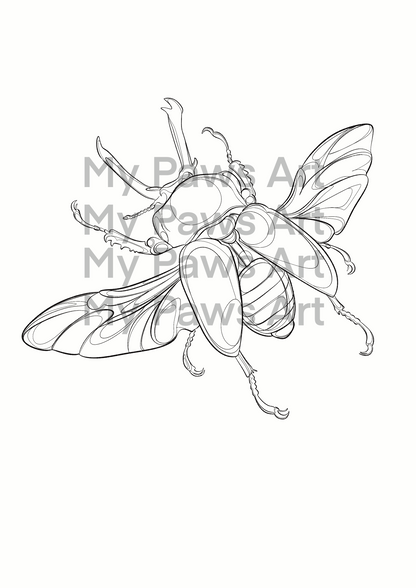 Coloriages 🦋