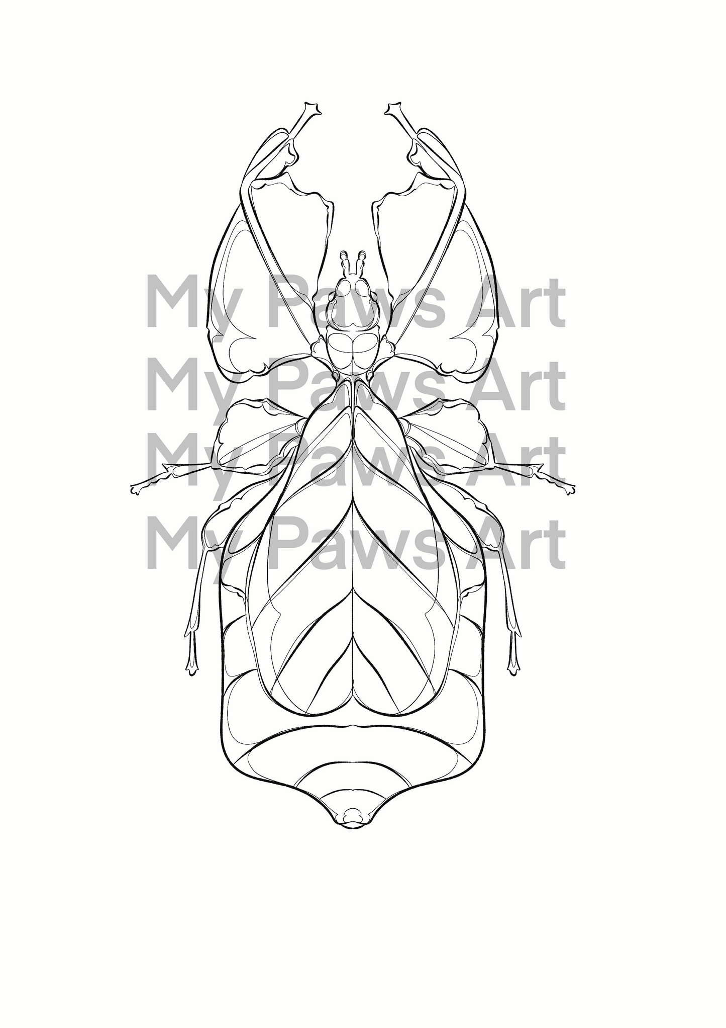 Coloriages 🦋