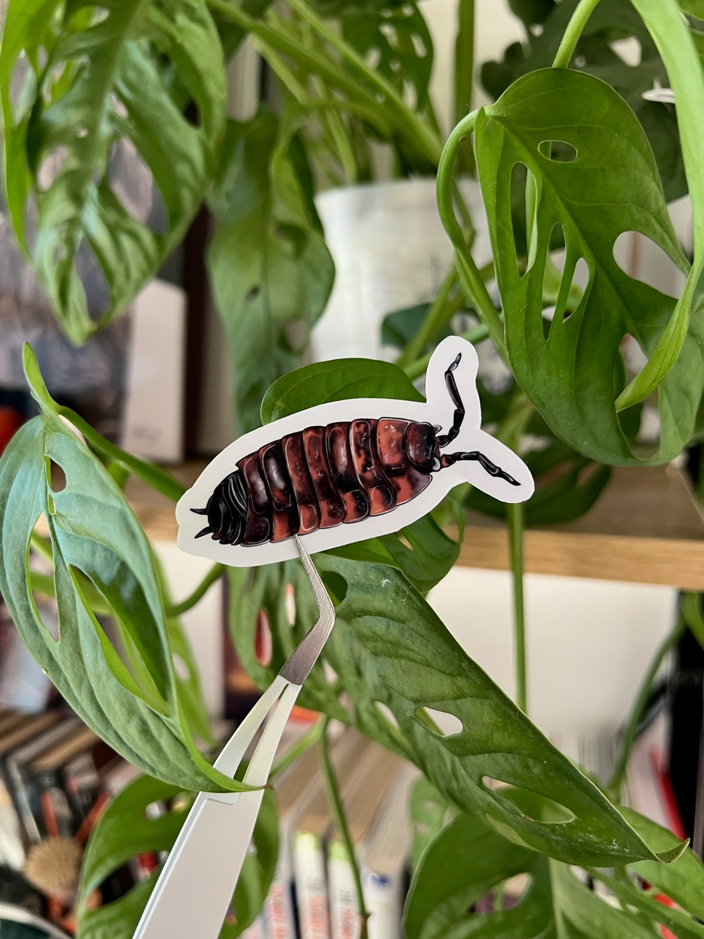 Stickers cloportes 🎨
