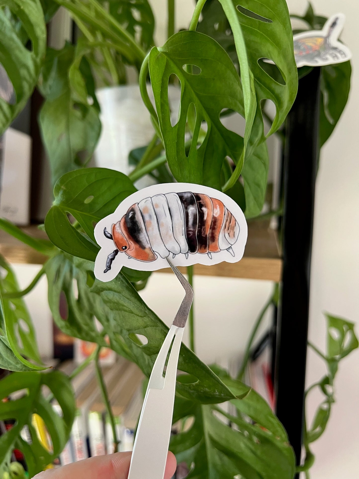 Stickers cloportes 🎨