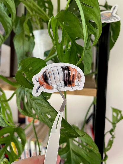Stickers cloportes 🎨