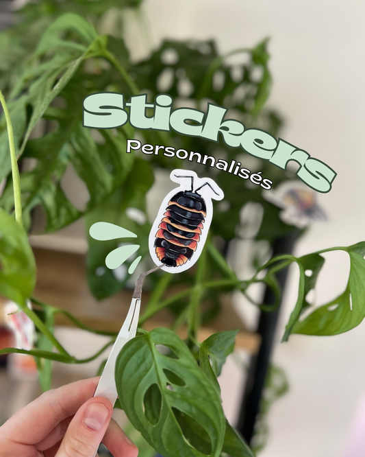 Créer tes stickers !🦋