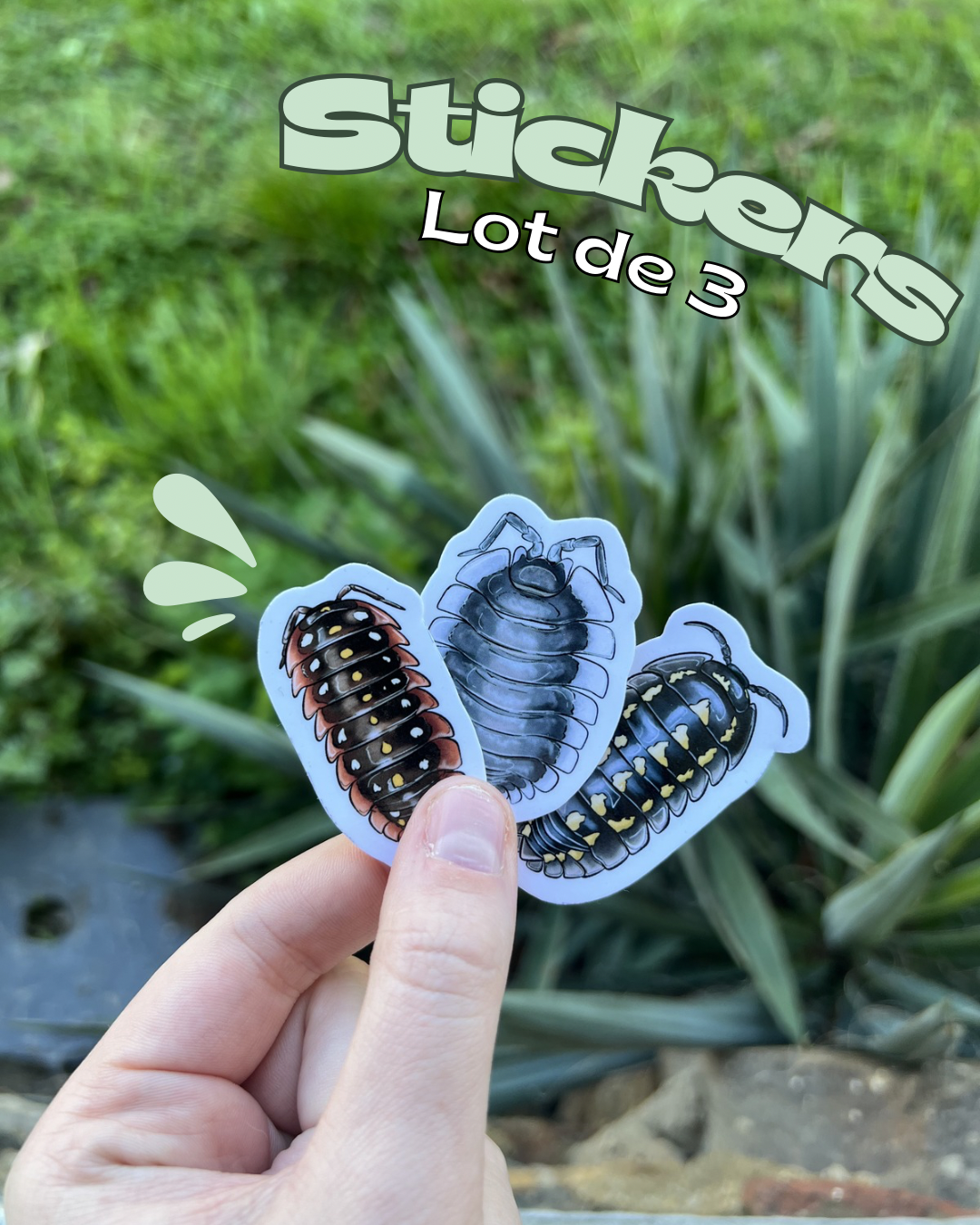Créer tes stickers !🦋