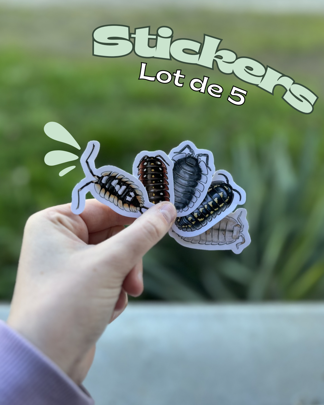 Créer tes stickers !🦋