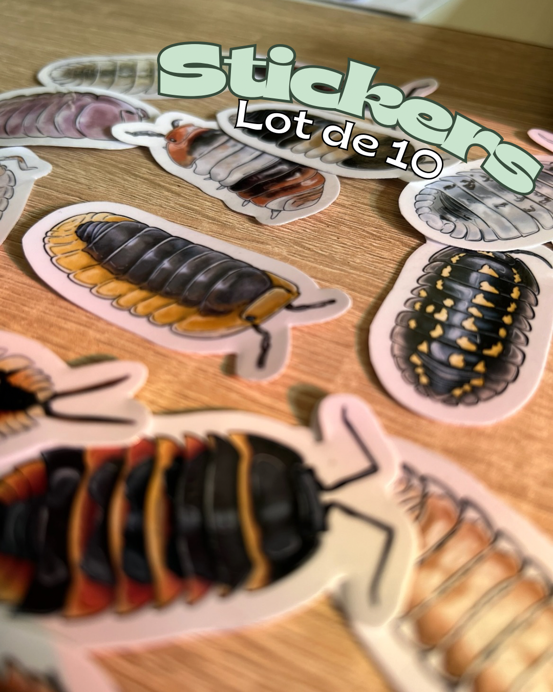Créer tes stickers !🦋
