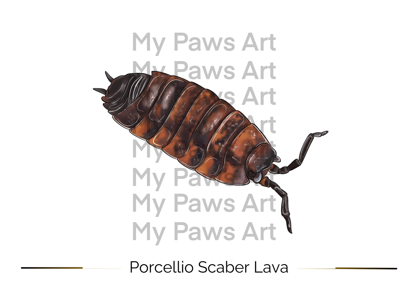 Carte Isopodes 🖼️