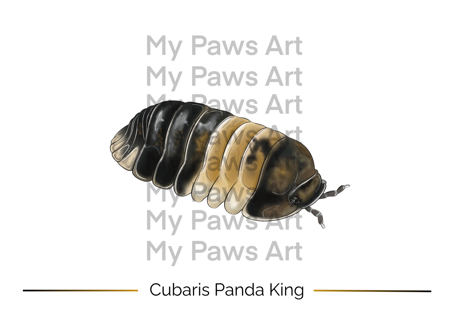 Carte Isopodes 🖼️