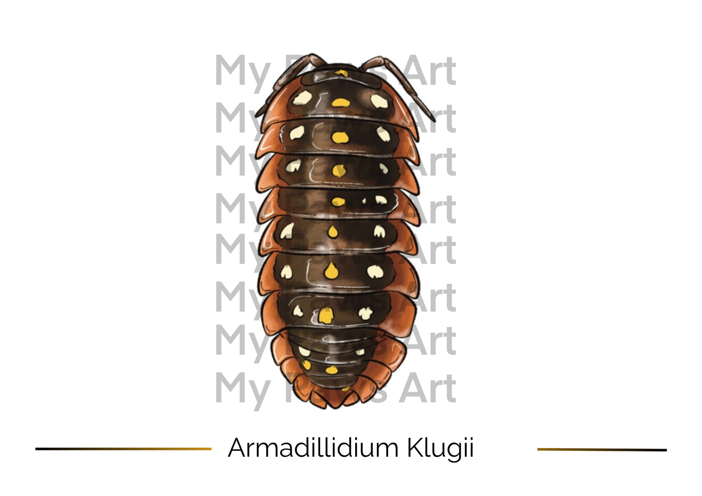 Carte Isopodes 🖼️