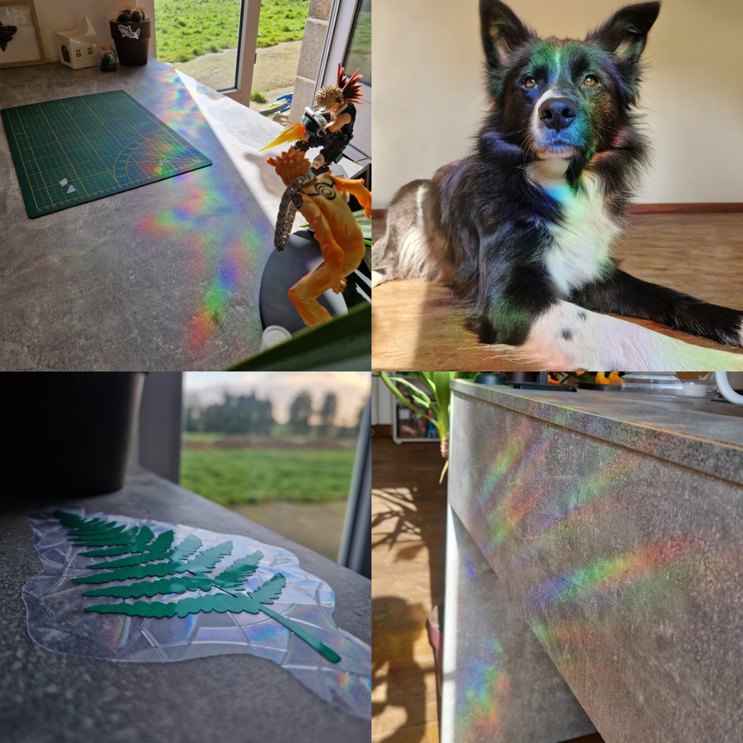 Sun Catcher